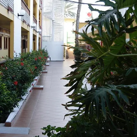Apartamentos Los Tilos-3